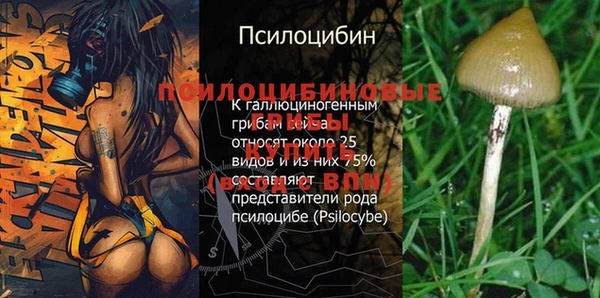 бутик Абаза